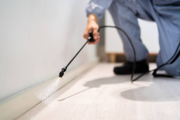 Licensed Mosquito Control service in Howe, TX - Show Me Pest Control