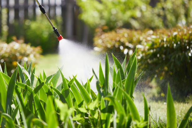 24/7 Emergency Mosquito Control experts in Howe, TX