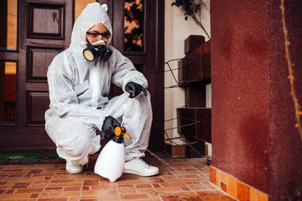 Reliable Mosquito Control contractor in Howe, TX by Show Me Pest Control